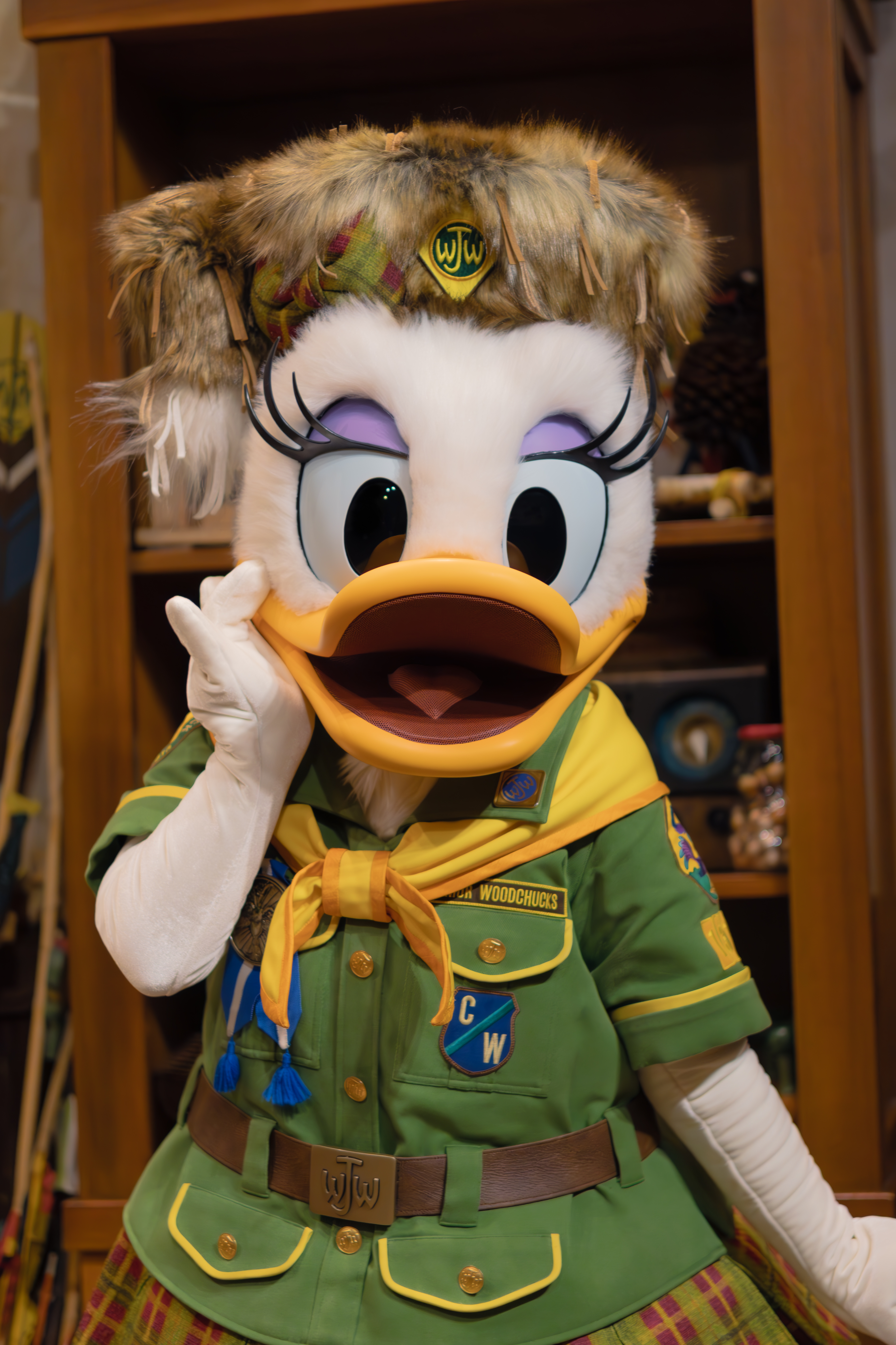 Daisy in Woodchuck